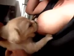 Milking a puppy on a beastie gal's tits